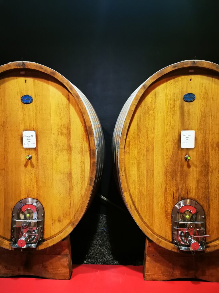 butoaiele pentru vin rosu premium Villa Vinea