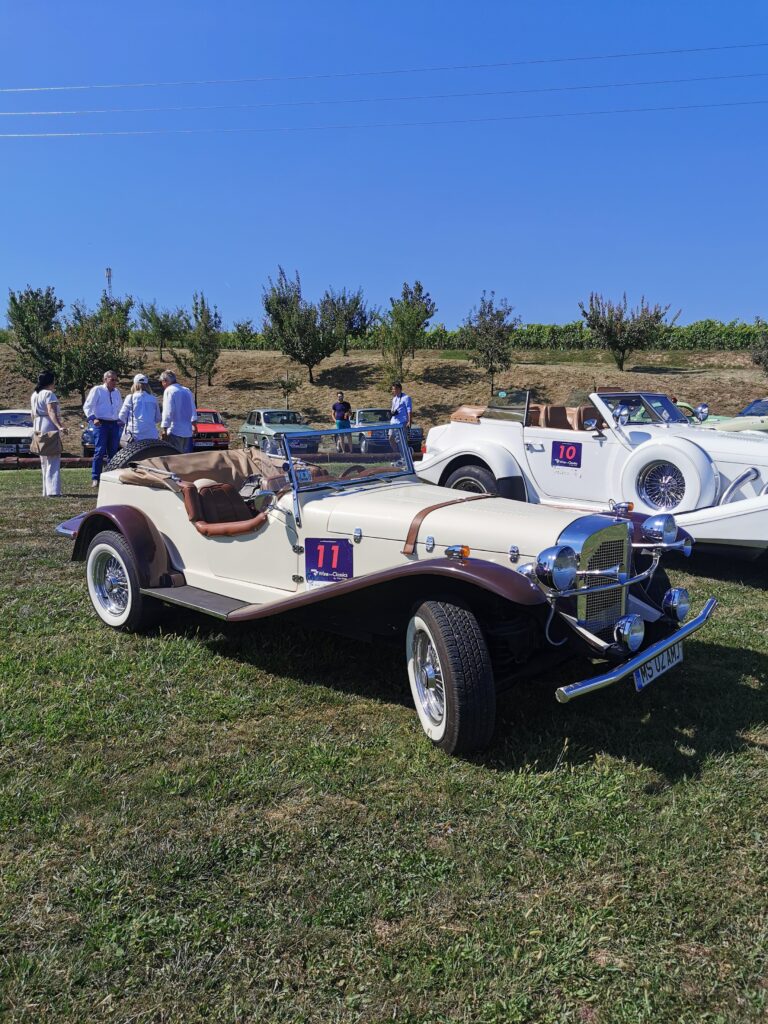 Retromobil Romania la Villa Vinea