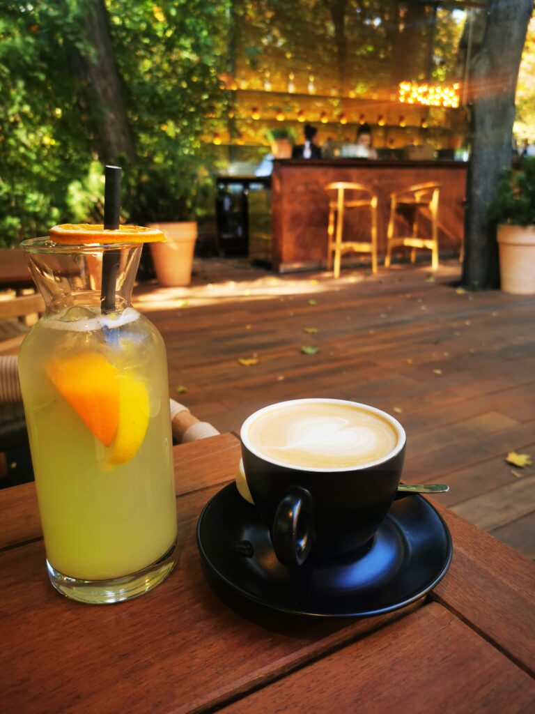 hare garden cafea si limonada